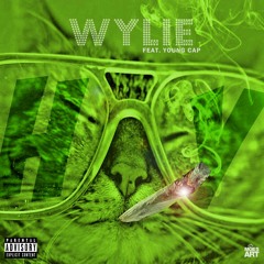 Wylie the Rapper "High" feat: Young Cap