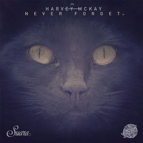[Suara 255] Harvey McKay - Stolen Forest (Original Mix) Snippet