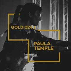 Gold 024: Paula Temple presents Decon/Recon #2 'DR2-3'