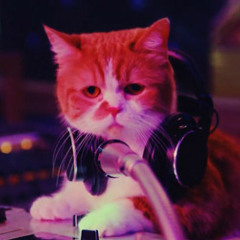 国生さゆり - 大きい猫