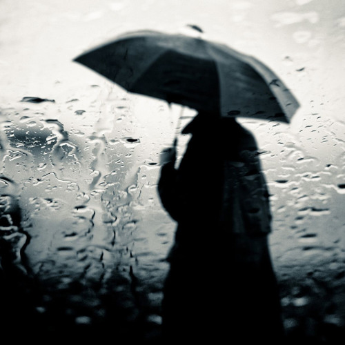 Mark Slee - Parapluie: Dans le Ciel [January 2017]