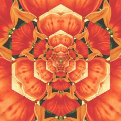 The Effects of Noise on Man