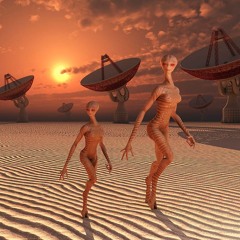 Contact - D/L