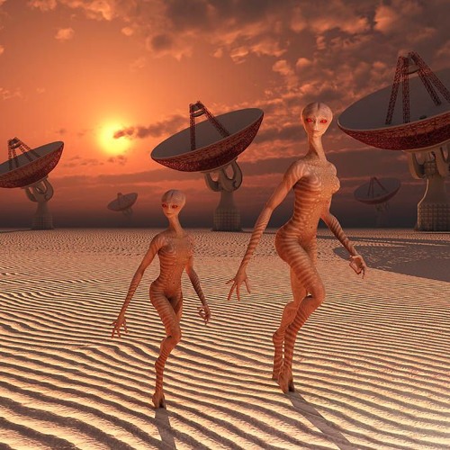 Contact - D/L