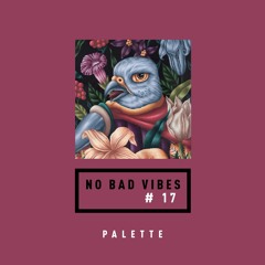 NO BAD VIBES Episode 17 w/  Palette