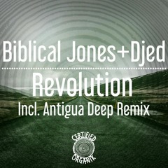 Revolution (Antigua Deep Remix) Premiere! Inauguration Day!