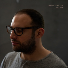 Justin Carter - Leaves - The Leaves Fall LP - MSNLP003