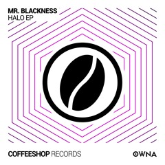 Mr. Blackness - Give Me The Night (Original Mix)