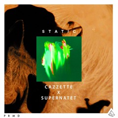 Static (CAZZETTE x Supernatet Remix)