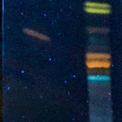 Lax