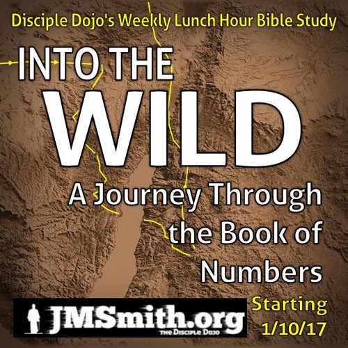 into the wild book free online into the wild book free online
