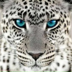 Nightcore - Stereo Love