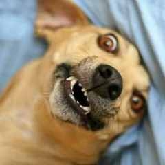 Tá chovendo aí - Mix