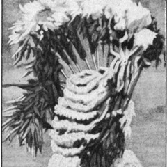 Misundertood Sandcrafter's Tale