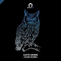MORPH025 - Lloyd Haines -  Slow Down (Original Mix) [Morph]