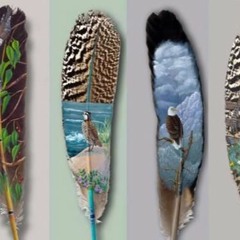 Feathers #STBB500 (3)