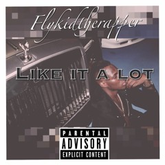 Flykidtherapper- Like It Alot
