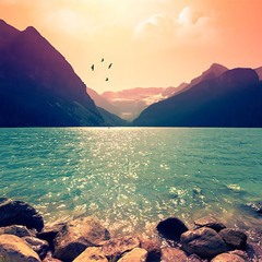 Life That Never Ends