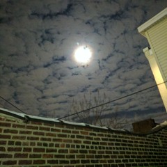 Lige-"0πion$"(Throwbaktrax)