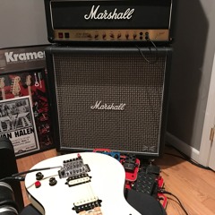 Cameron Modded Marshall JCM800 DRY
