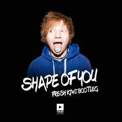Shape Of U (Fresh Kiwi Bootleg) *Free D/L in Descrip