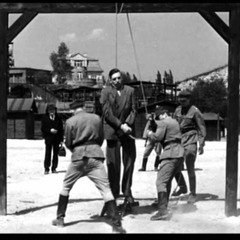 Adidas (Prod PackMan)