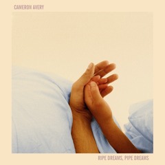 Cameron Avery - Wasted On Fidelity