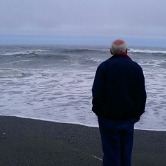 Johnny Cash - Well Meet Again cover