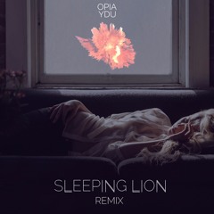Opia - YDU (Sleeping Lion Remix)