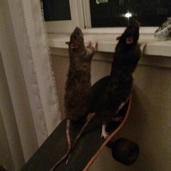 Popcorn Bandits (Clean Version)