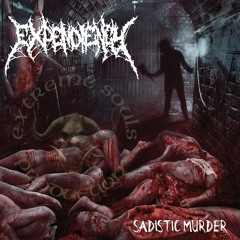 EXPENDIENCY - Sadistic Murder