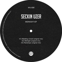 Seckin Uzer - Madding Crowd (Original Mix)