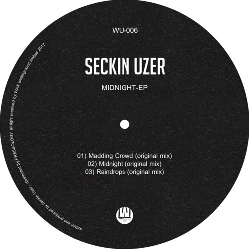 Seckin Uzer - Madding Crowd (Original Mix)