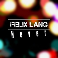 Felix Lang - Never (Original Mix)