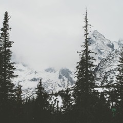 Winter 2016-17