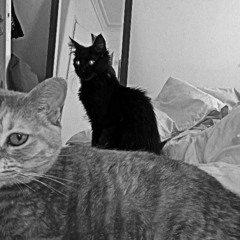 Maneki-Neko for Afrodelia / Vol. I