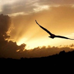 امانة شلني ارض السعيدة