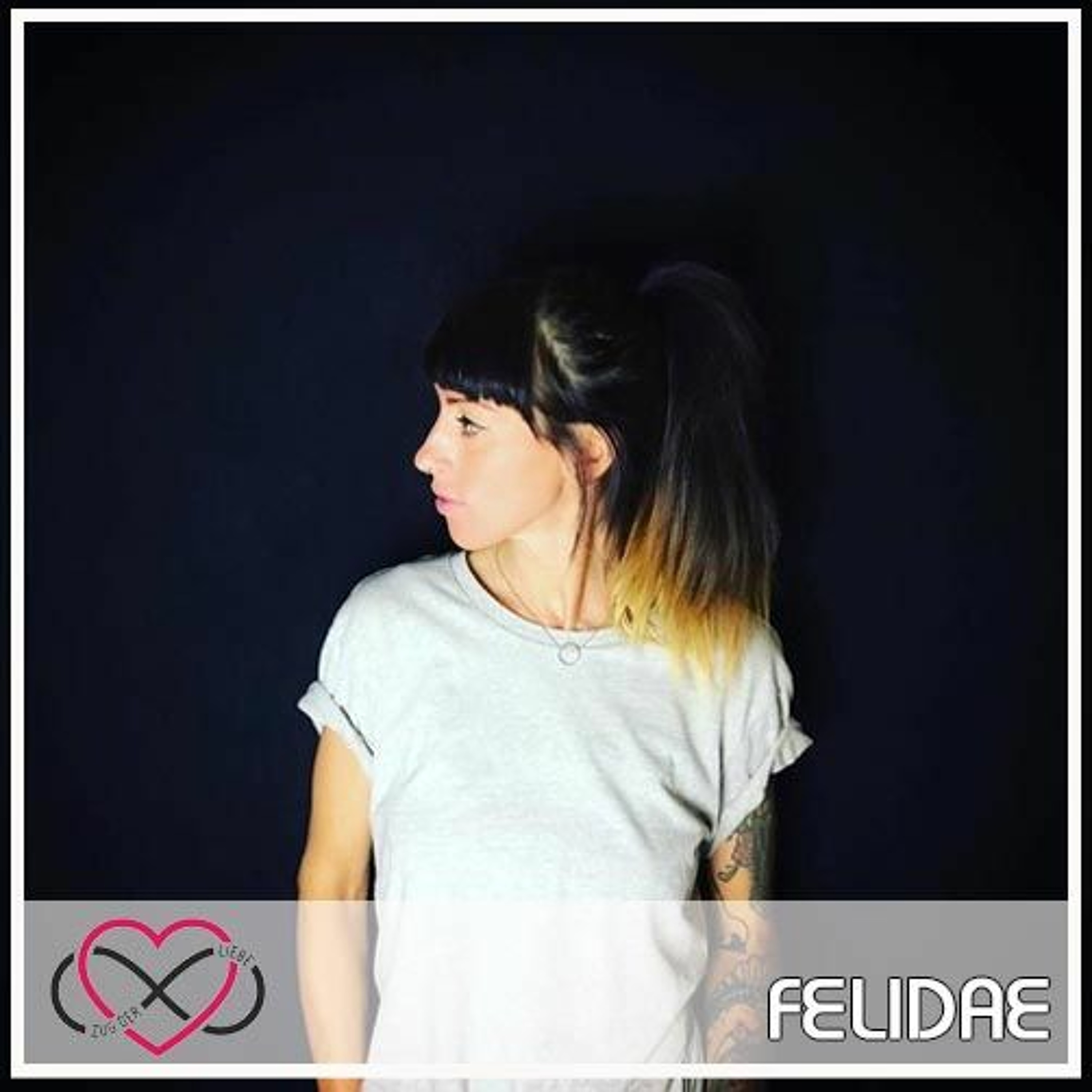 FELIDAE episode artwork