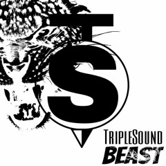 Triple Sound - Beast (Original Mix)OUT NOW!