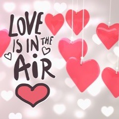 Love Is In The Air (John Paul Young)