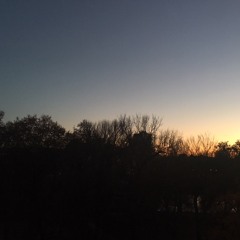 Transition Town Brixton pt1