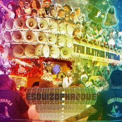 12 -  Esquizophanque - Thelonius Funk part. MC Miligrama