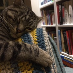 On The Lips *Frankie Cosmos cover*