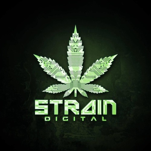 FLEXXA & DANGEROUS - EVERYTHING