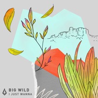 Big Wild - I Just Wanna