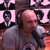 Artwork for Podcast | The Joe Rogan Experience #712