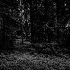 Throw That AsS feat. Gravy