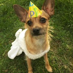 Emma's dirty thirty - Bader 7-8