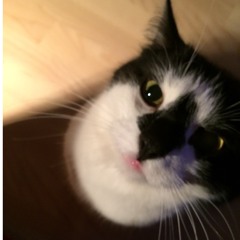 The Mummy Plays the Synthesizer