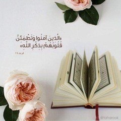 أمن يجيب المضطر اذا دعاه _ معاذ العيد